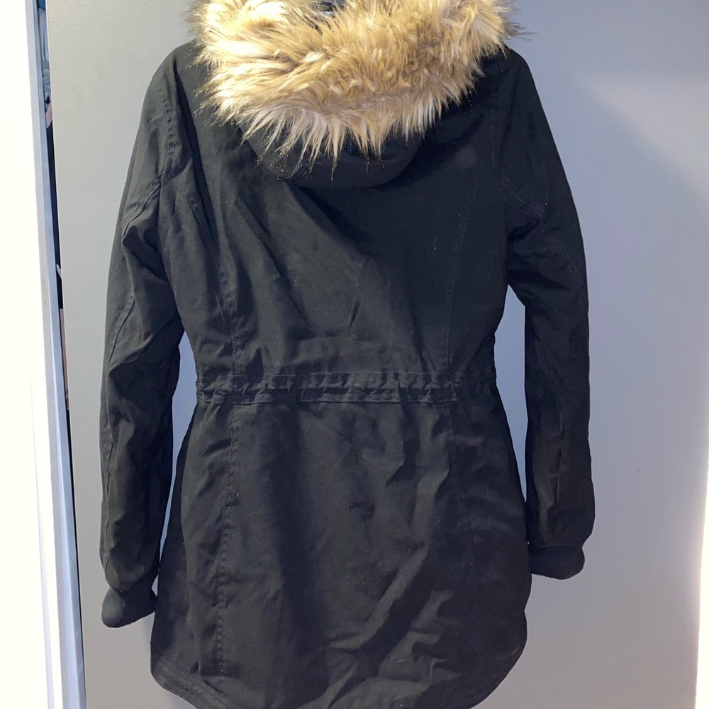 Hollister winter jacket